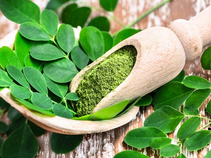 Moringa in polvere