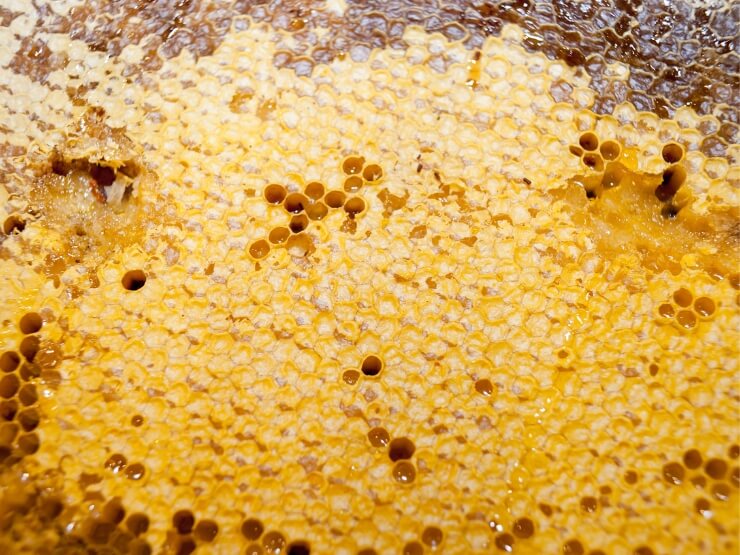 Orticaria, pappa reale