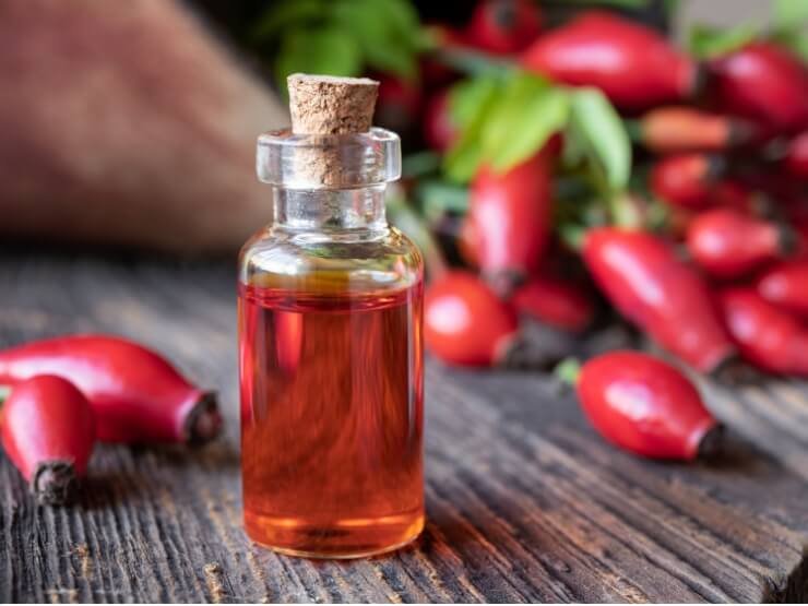 Una bottiglia di olio di semi di rosa canina con cinorrodi freschi
