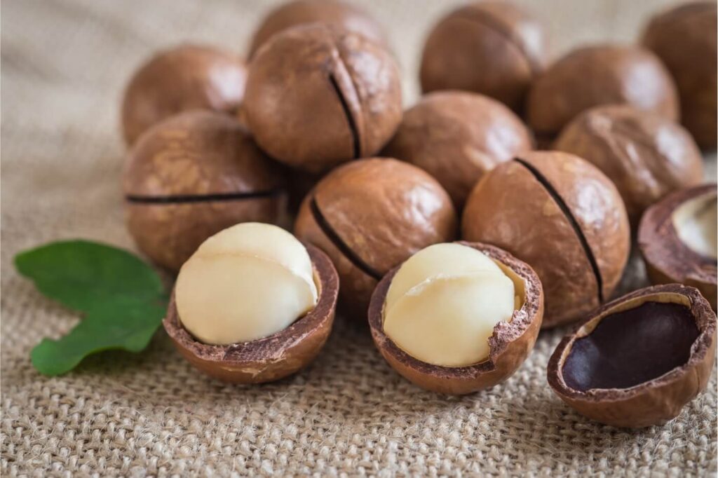 noci di macadamia